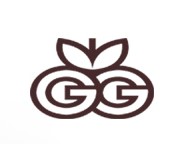 FLASH LINIE Giuso
