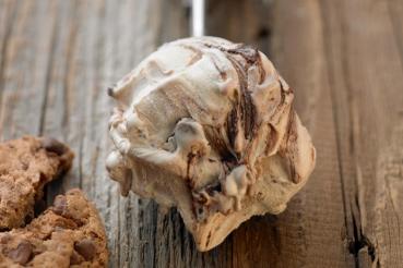 Preview: Cookies - Eispaste