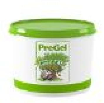 Preview: Erdnuss - Paste --- MHD 01.2026 "Solange der Vorrat reicht"