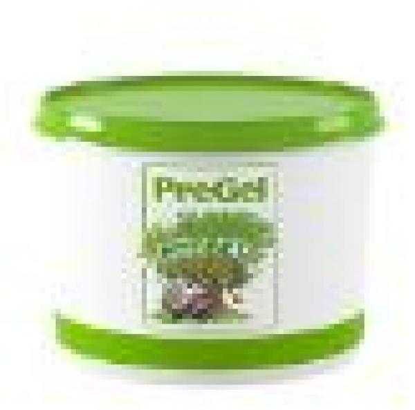 Arabeschi® Pfirsisch-Sauce